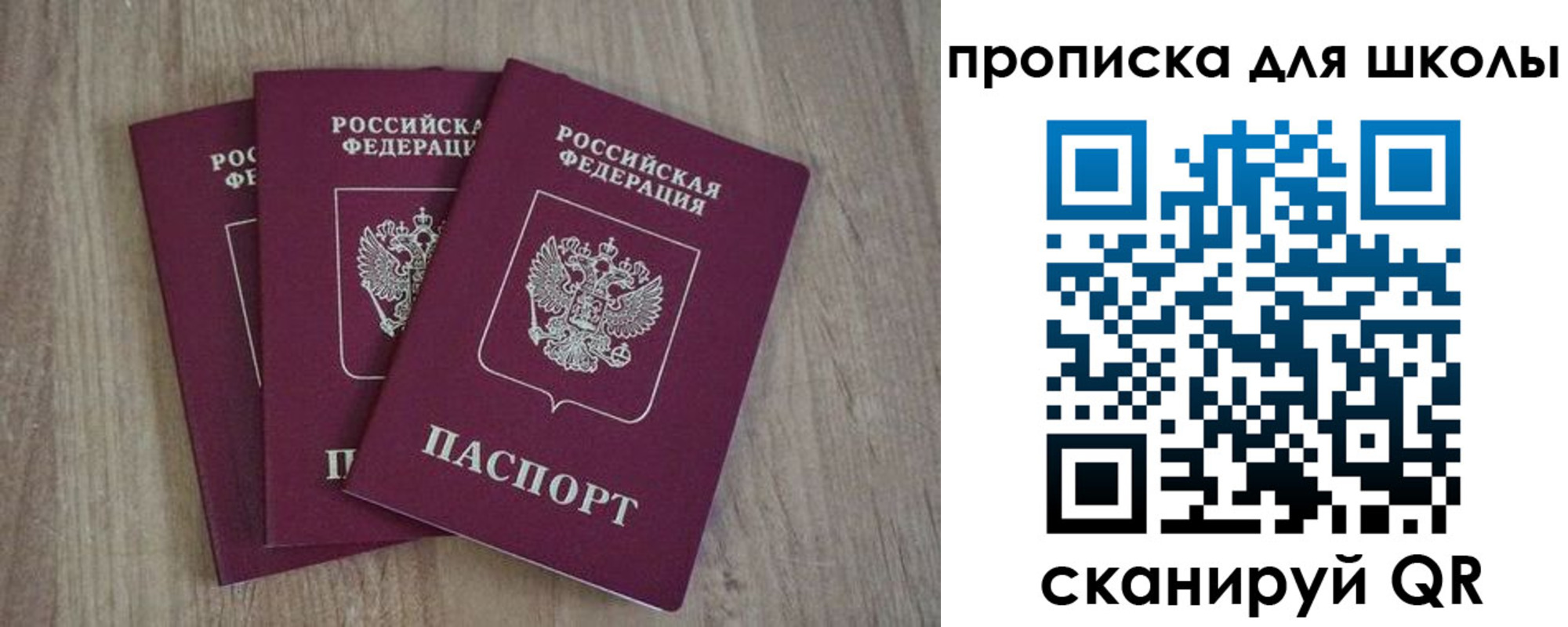 прописка для школы в Ногинске